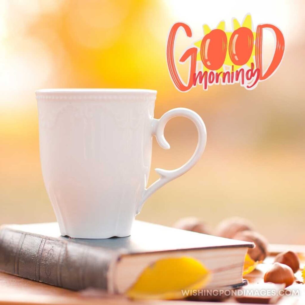 White mug of coffee staying on book over nature background. Good Morning Coffee Images