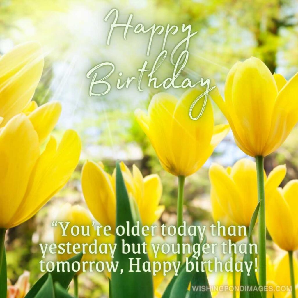 Yellow tulips flowers on spring background. Happy birthday tulips flowers images