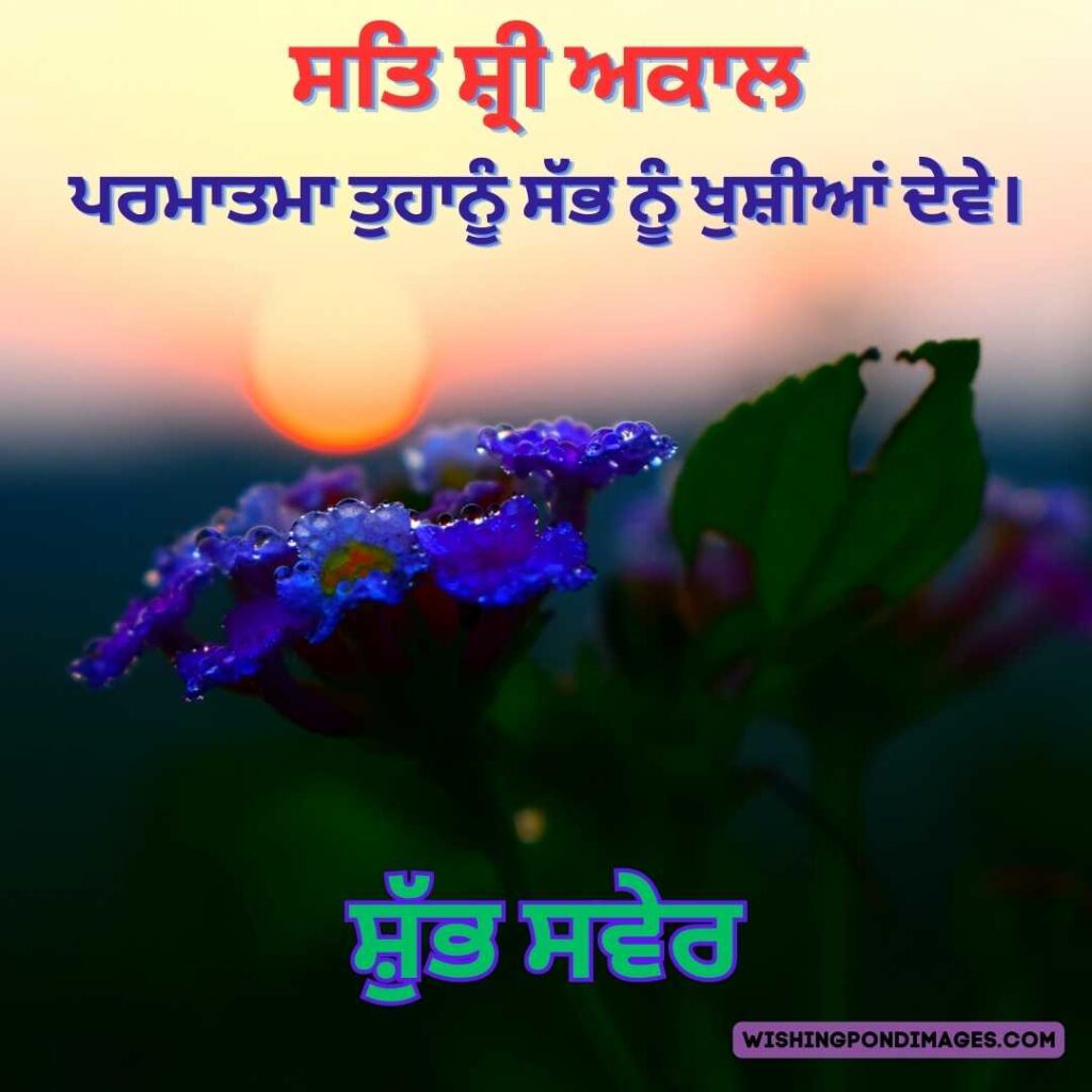 A beautiful sunrise with purple color flower with leaf. Good Morning Punjabi Images