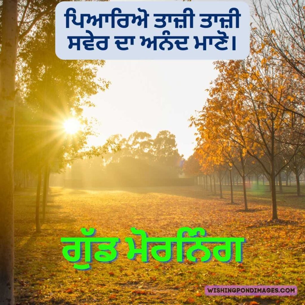 A beautiful view of the sunrise in the park. Good Morning Punjabi Images