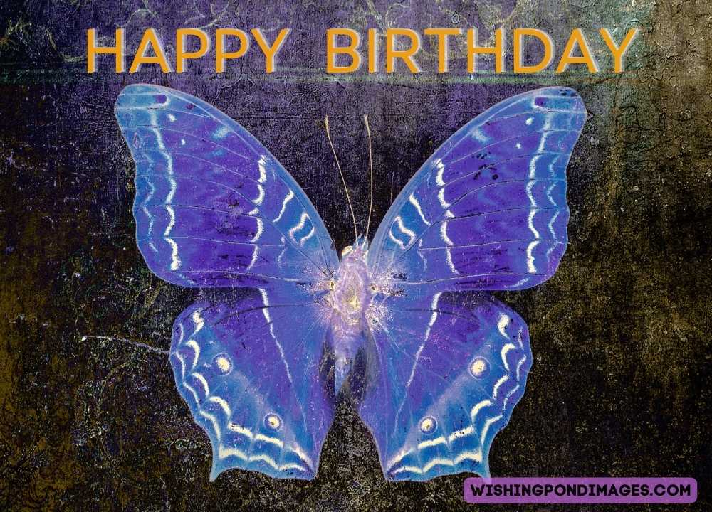 Blue color butterfly image. Happy birthday butterfly images