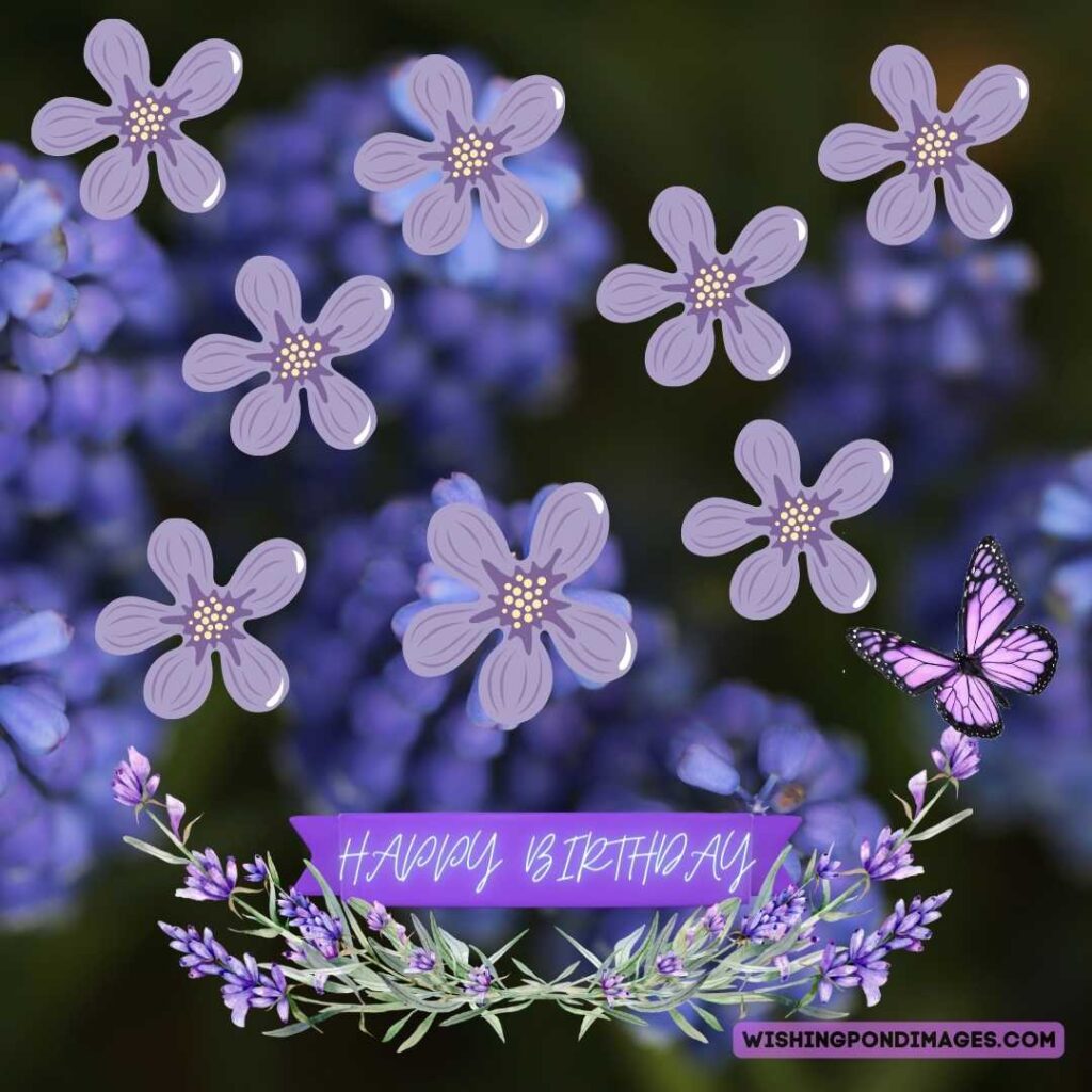 Close image of lavender flowers. Happy birthday lavender flower images