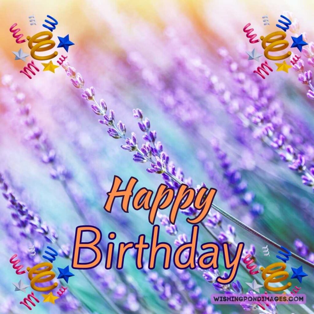 Close up image of purple green-colored flowers in the field. Happy birthday lavender flower images