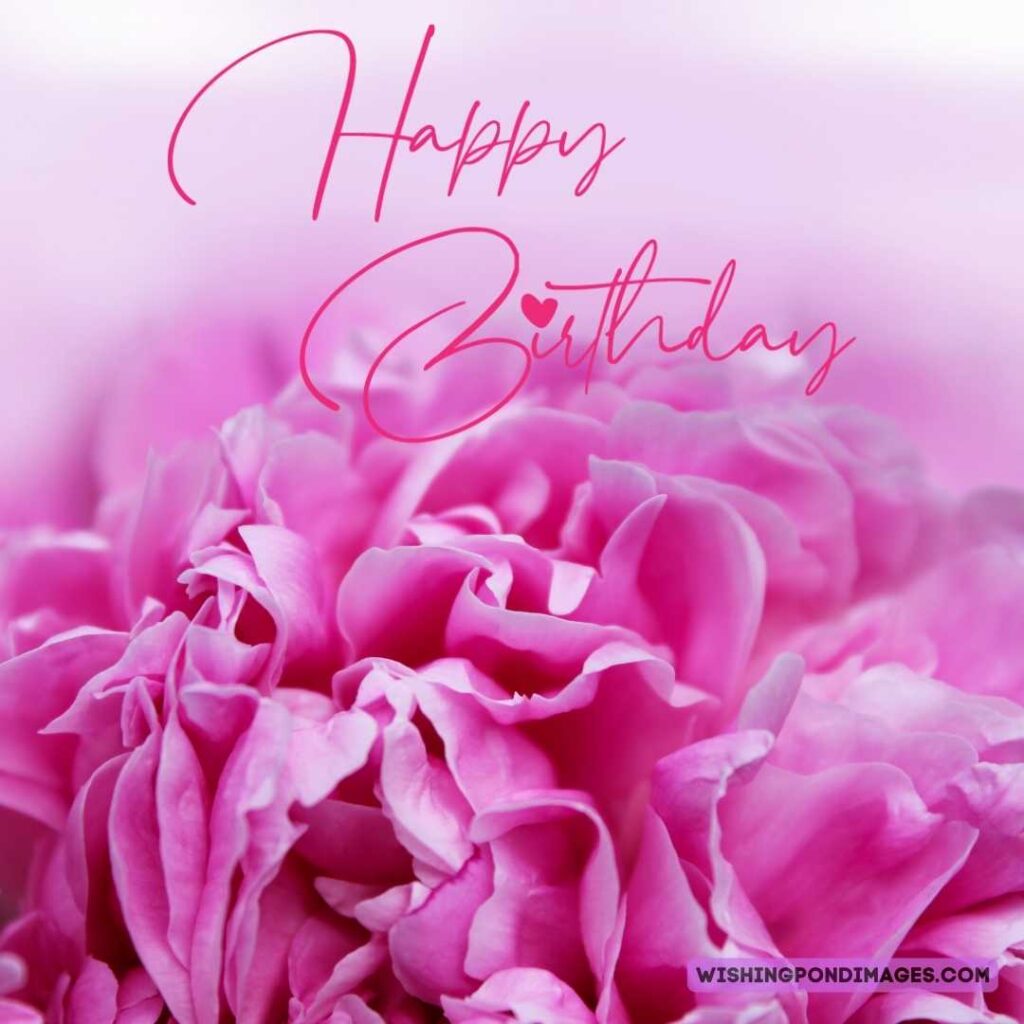 Close-up picture of peonies flower on light pink background. Happy birthday peonies images