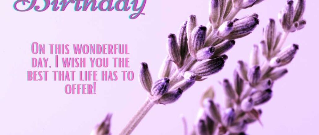 Close-up shot of lavender flower. Happy birthday lavender flower images