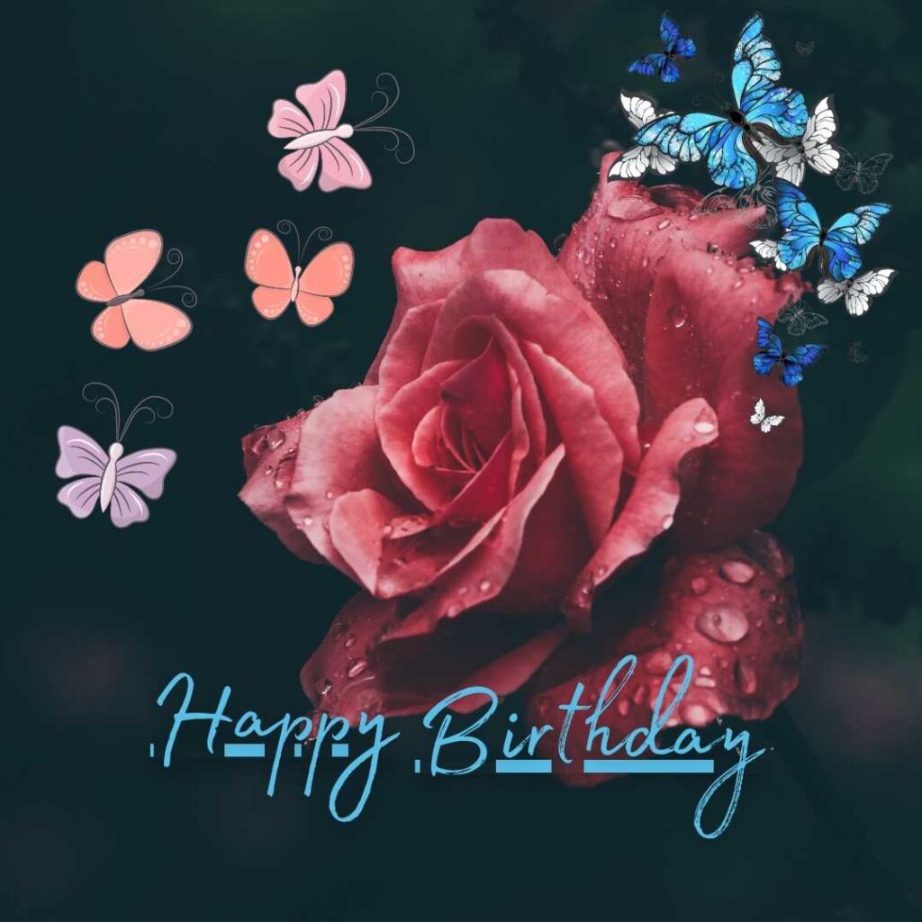 Dark pink flower with butterfly on dark background. Happy birthday butterfly images