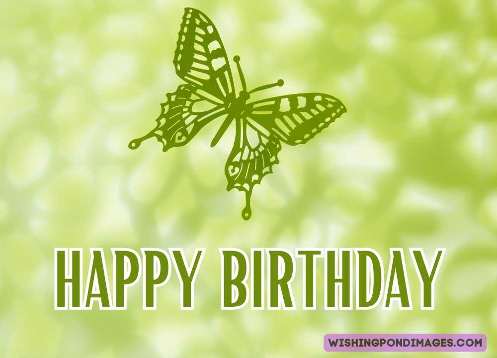Green butterfly on a light green background. Happy birthday butterfly images