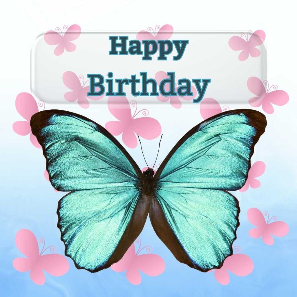 Green colored butterfly on light blue background. Happy birthday butterfly images