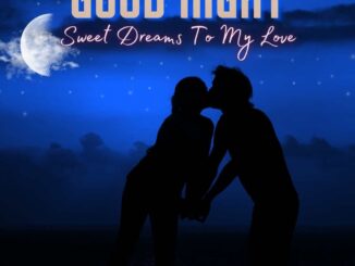 Happy romantic couple kissing at night under moonlight. Romantic hug good night images