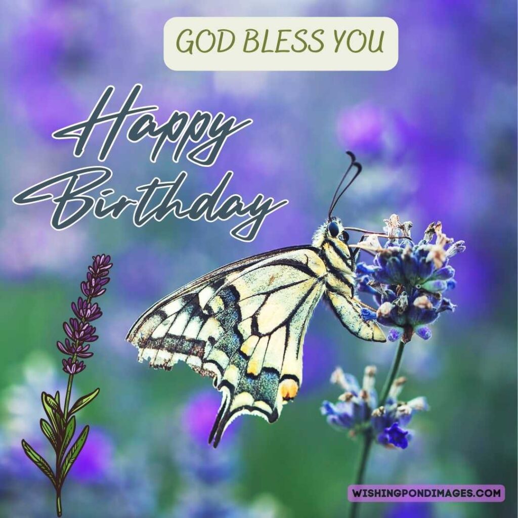 Lavender flower with butterfly on natural background. Happy birthday lavender flower images