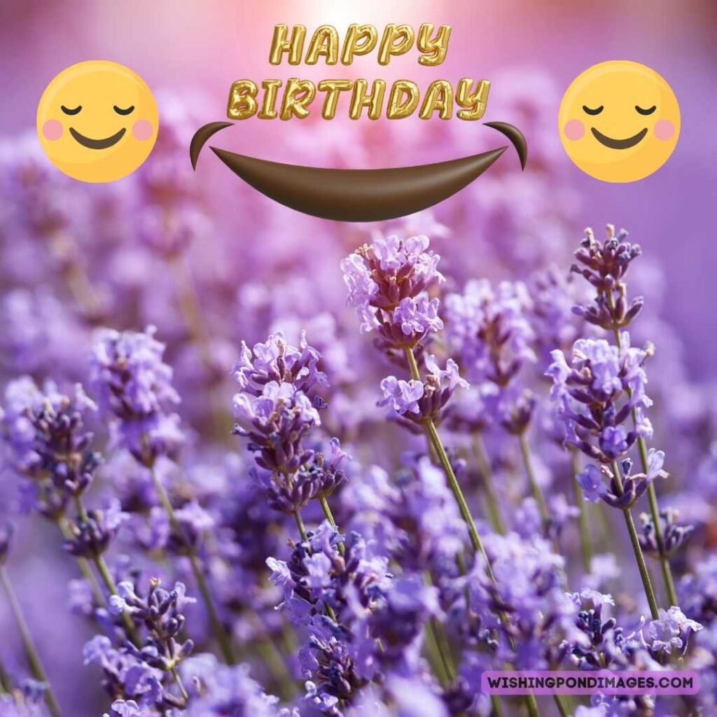 Lavender flowers image on field background. Happy birthday lavender flower images