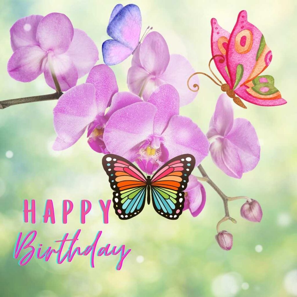 Natural flower background with butterflies. Happy birthday butterfly images
