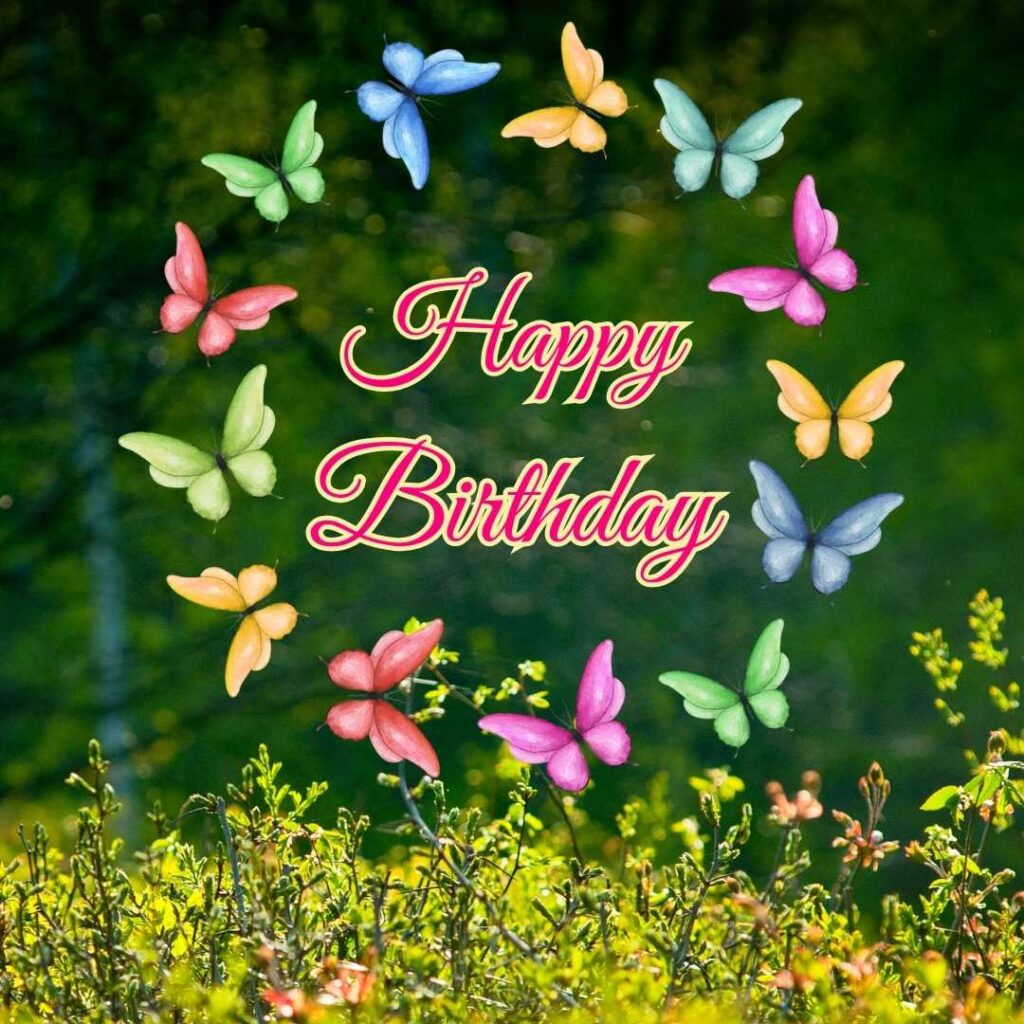 Nature background with circle butterfly frame. Happy birthday butterfly images