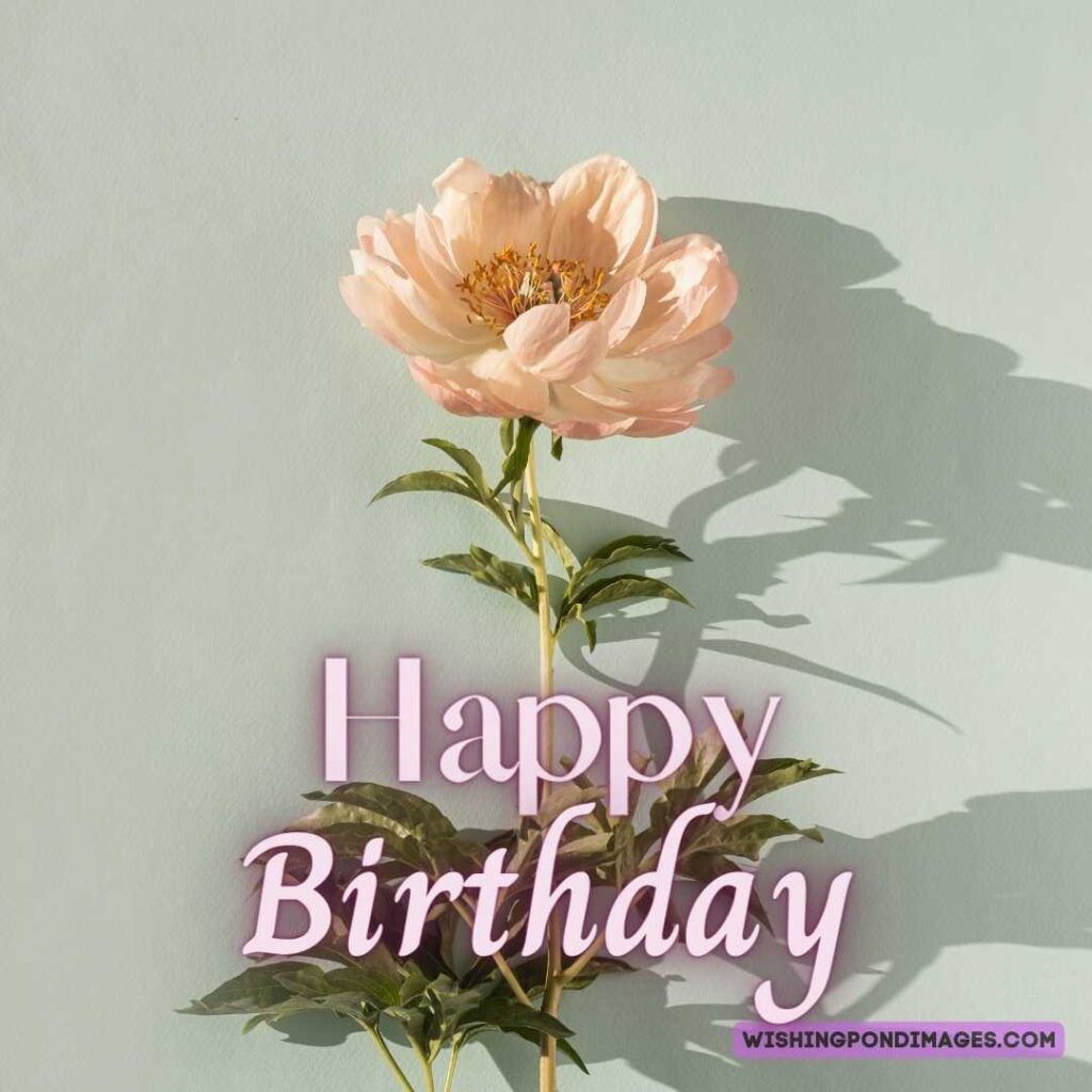 Peach-colored peony flower with leaves on light green background. Happy birthday peonies images