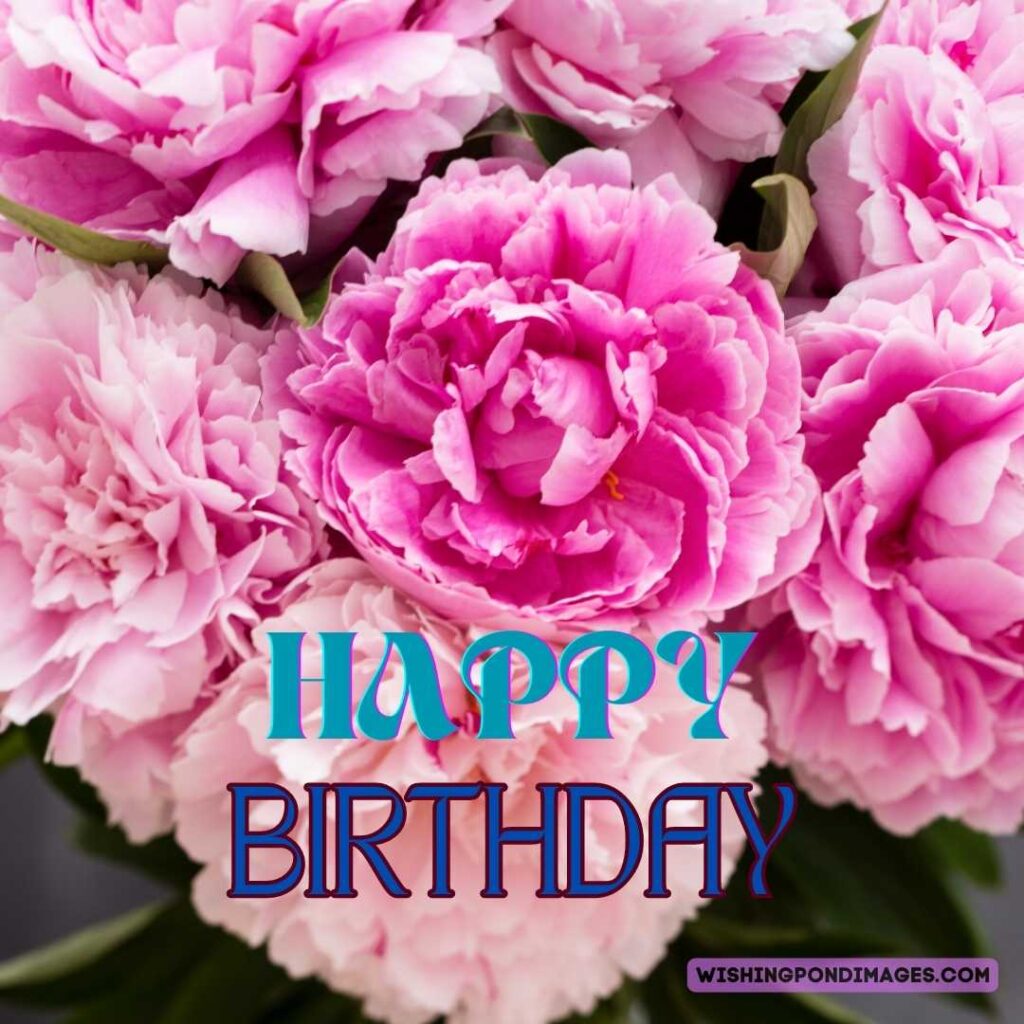 Pink colored peony flower in the bucket on garden background. Happy birthday peonies images