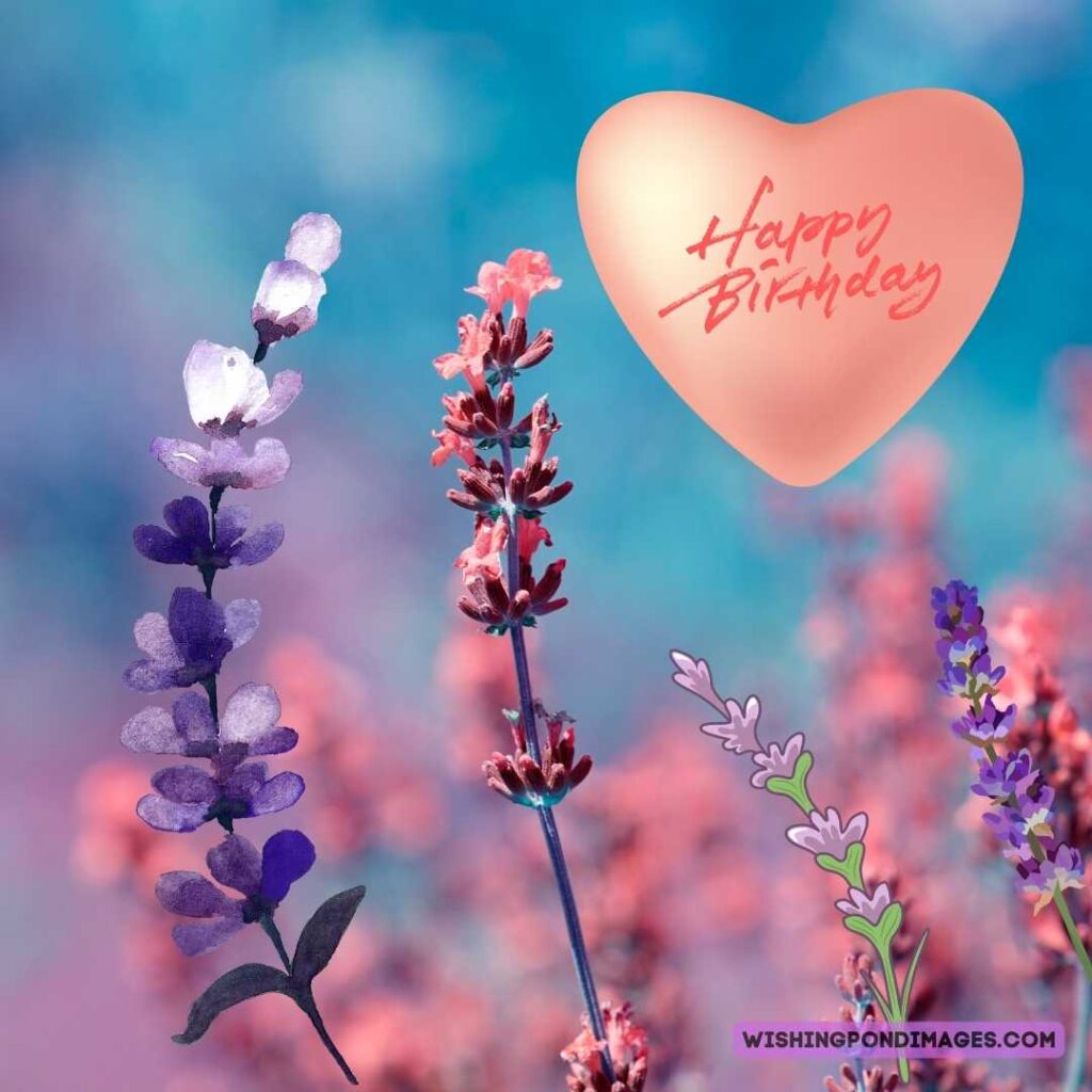 Pink lavender flowers in the flower garden. Happy birthday lavender flower images