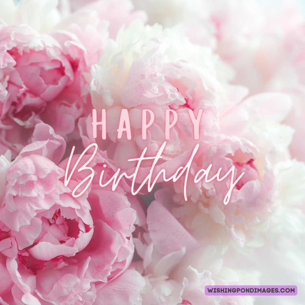 White and light pink peony flower. Happy birthday peonies images