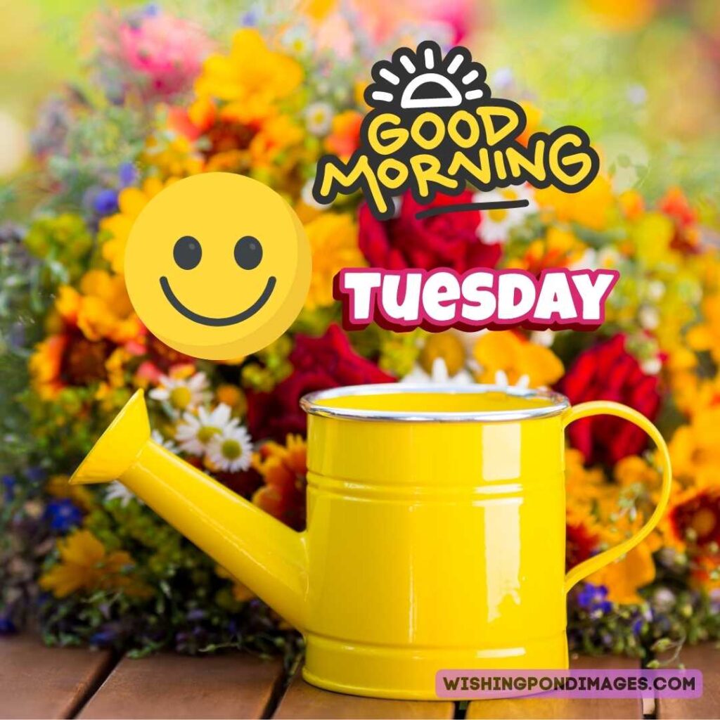 A picture of a yellow watering can with spring flowers outdoors. Good morning Happy Tuesday images